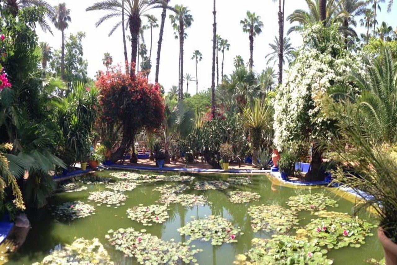 Riad Villa Harmonie Marrakesh Extérieur photo